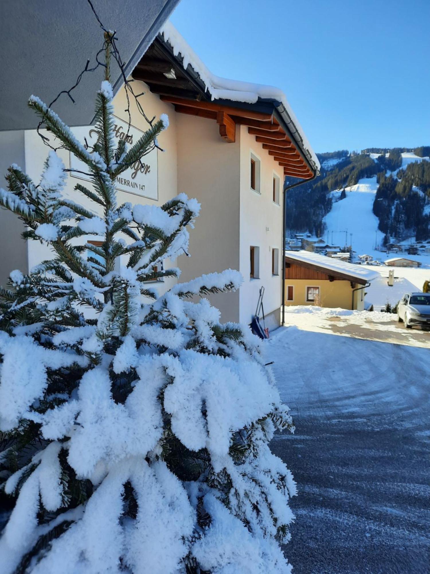 Апартаменты Haus Traninger Флахау Экстерьер фото